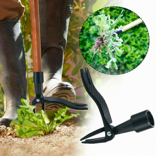 Unealta de scos buruieni - cu 4 gheare pentru smulgerea radacinilor