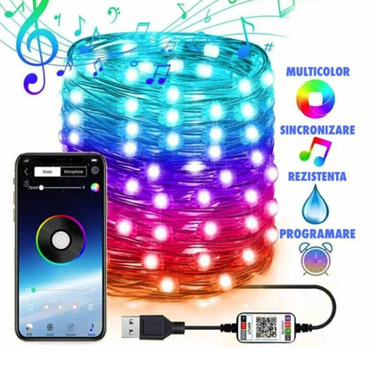 Instalatie de Craciun RGB cu Control Bluetooth prin Aplicatie